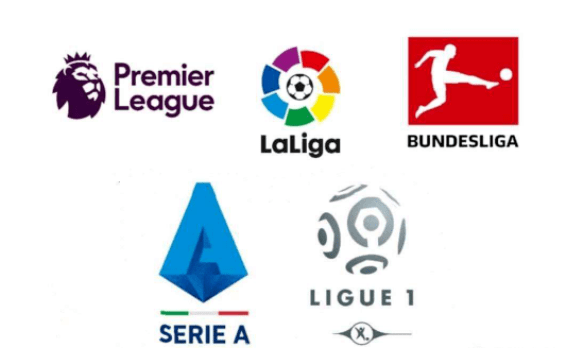 既有个体的 既有个体的